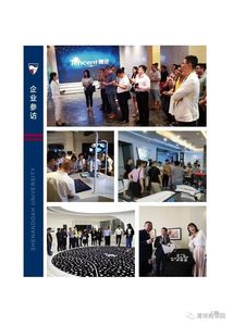 美国雪兰多大学Global MBA项目简章